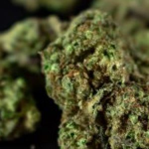 Group logo of Care with Cannabis